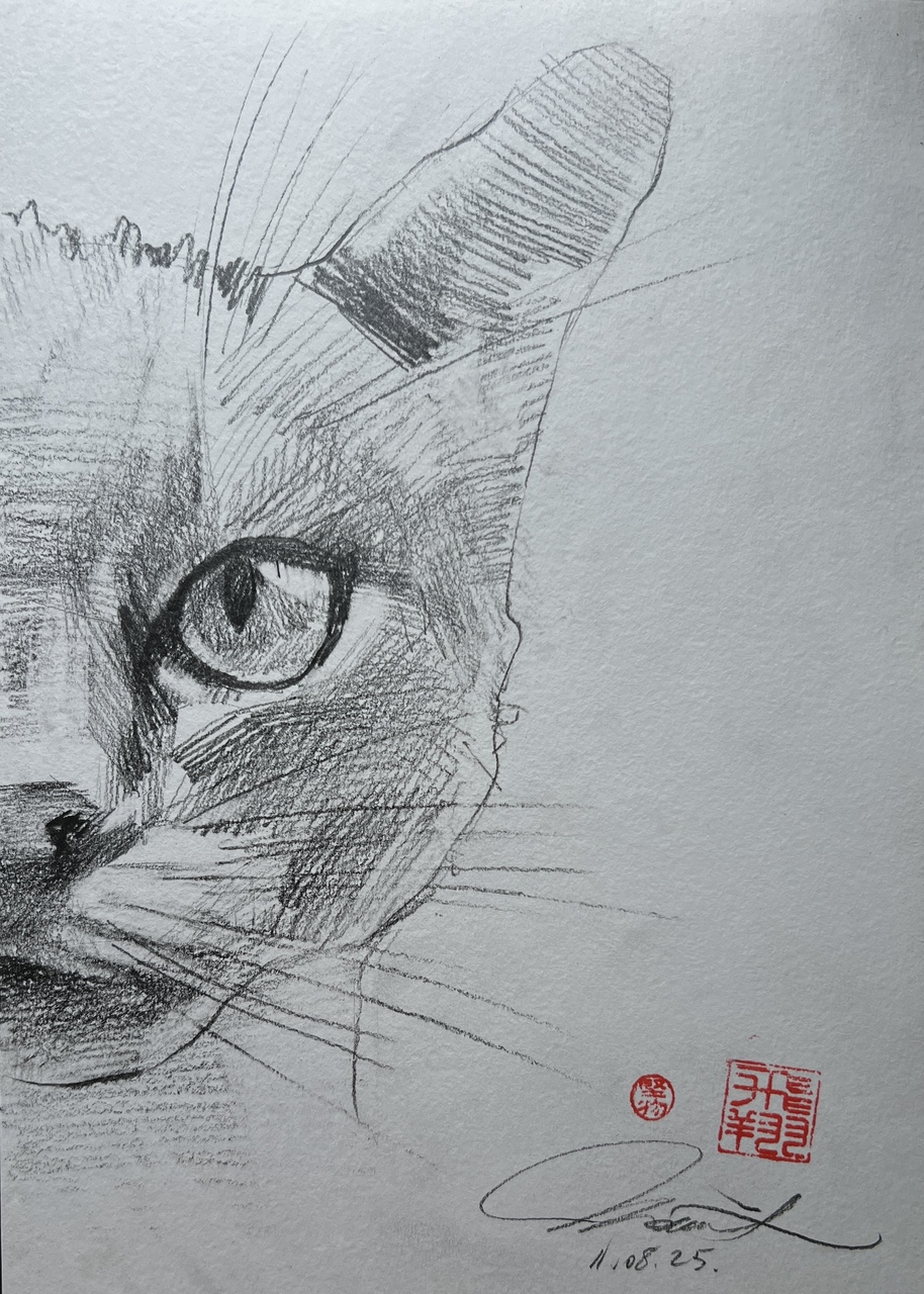 Cat 1